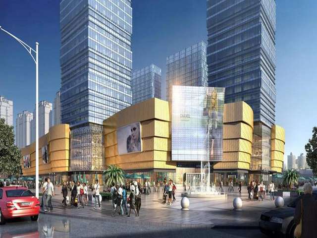 佛山石金钱龟养殖厂家推荐